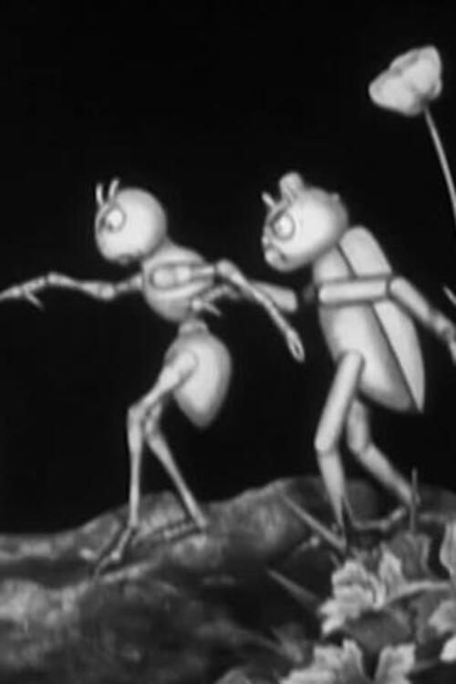 Tale of a Tendril 1925 official movie poster