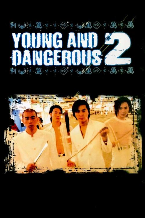 Young and Dangerous 2 1996 official movie poster