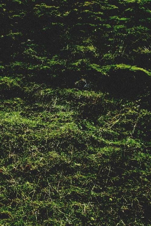 Untitled / Aubrac 2016 official movie poster