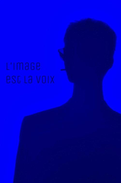 The image is the voice 2025 official movie poster