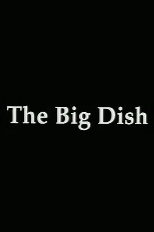 The Big Dish: Tiananmen 89 1998 official movie poster