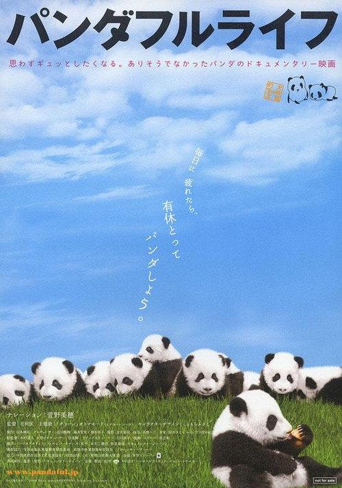 Panda Days 2008 official movie poster