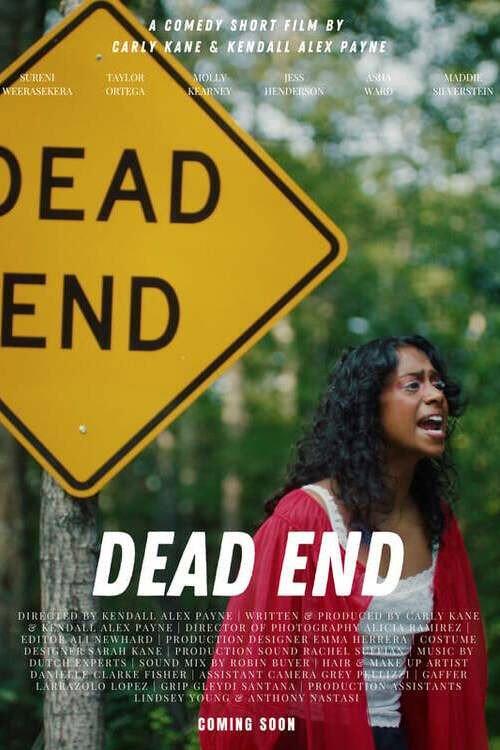 Dead End 2025 official movie poster