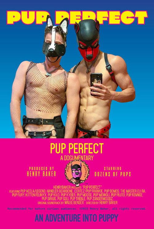 Pup Perfect 2023 official movie poster