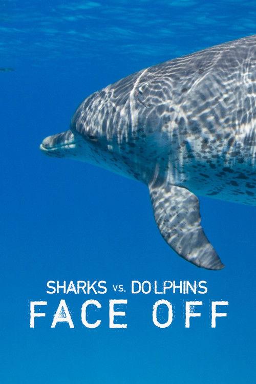 Sharks Vs. Dolphins: Face Off 2016 official movie poster