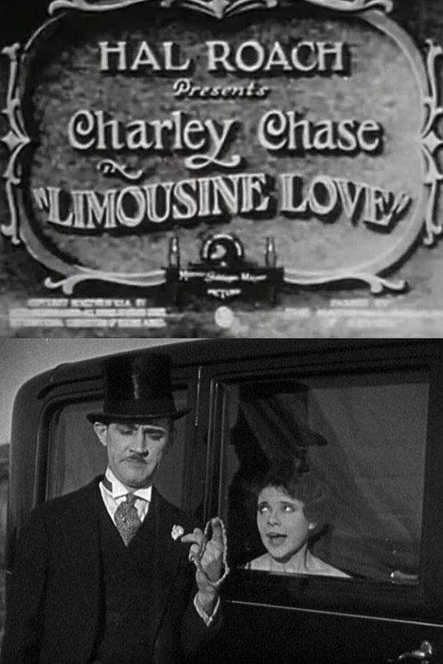 Limousine Love 1928 official movie poster