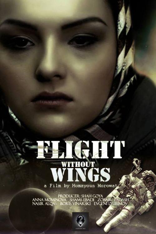 Flight Without Wings 2014 official movie poster