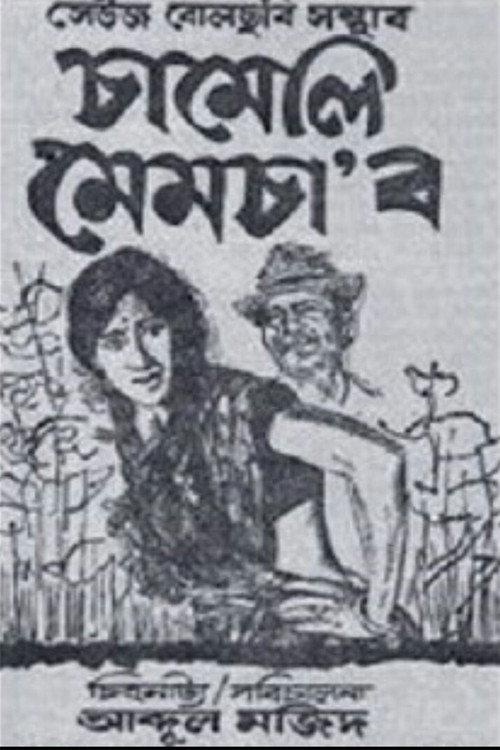 Chameli Memsaab 1975 official movie poster