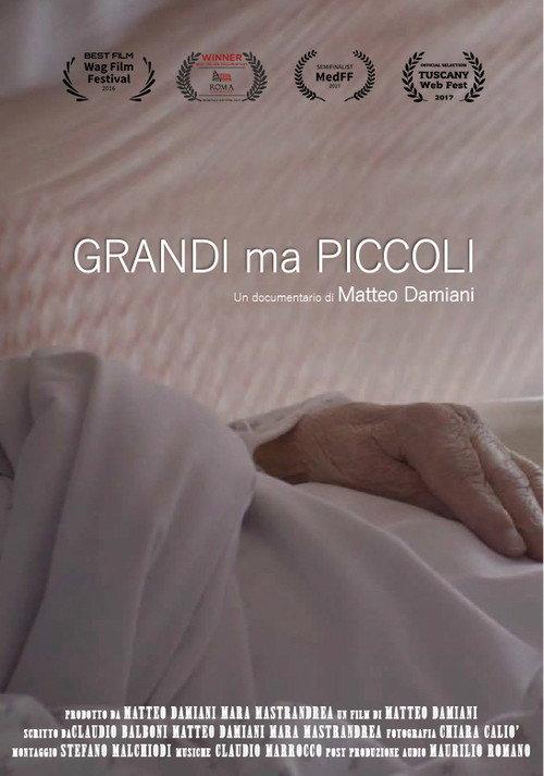 Grandi ma piccoli 2017 official movie poster