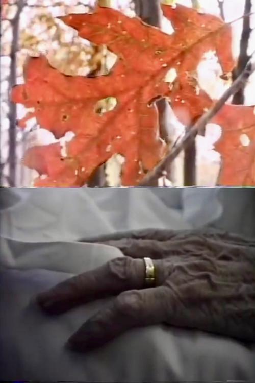 The Creeping Crimson 1987 official movie poster