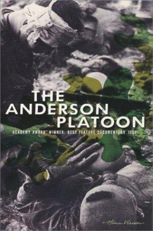The Anderson Platoon 1967 official movie poster