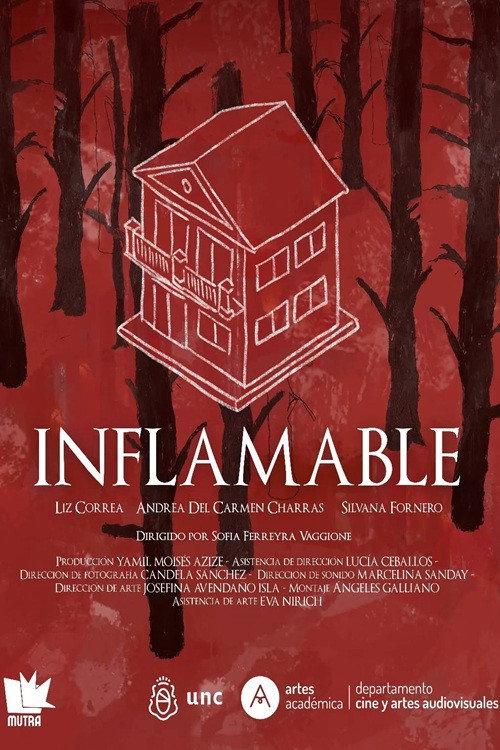 Inflamable 2025 official movie poster