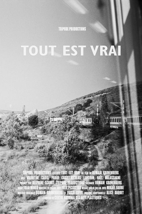 Tout est vrai (All Is True) 2019 official movie poster