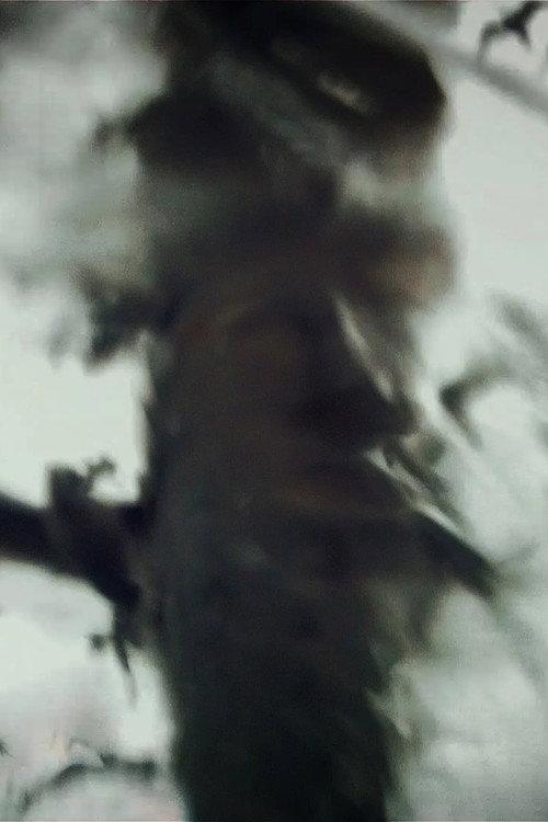 Spirit Stills 2013 official movie poster