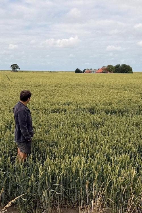Vaderland: in het spoor van Ede Staal 2026 official movie poster