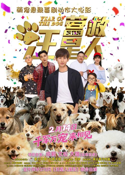 The Big Rescue 2018 official movie poster