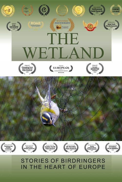 The Wetland 2020 official movie poster