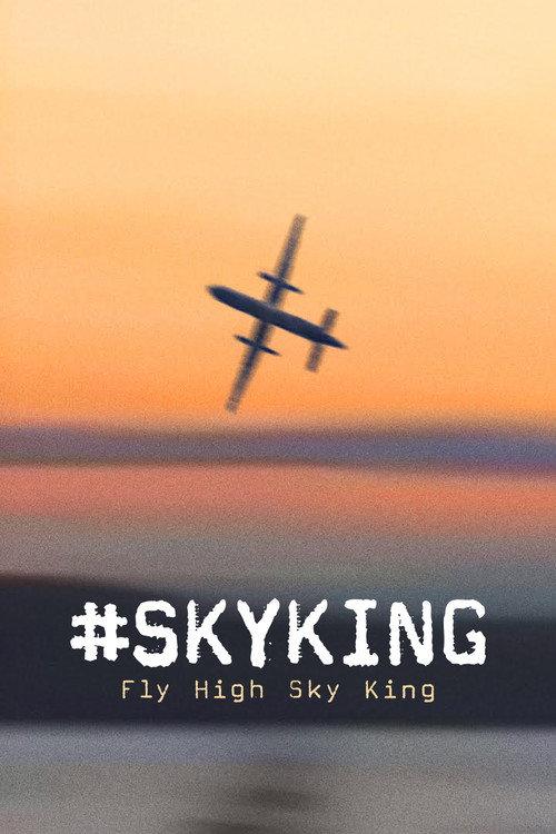 #SKYKING 2026 official movie poster