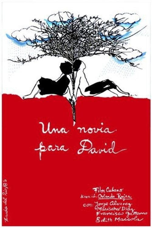 Una novia para David 1987 official movie poster