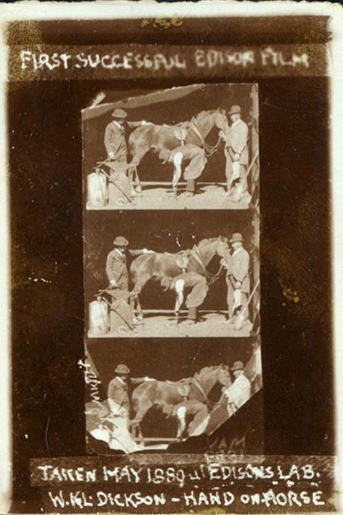 Horse Shoeing 1893 official movie poster