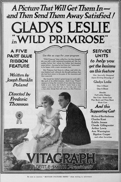 Wild Primrose 1918 official movie poster