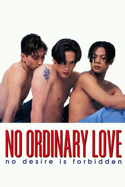 No Ordinary Love 1994 official movie poster