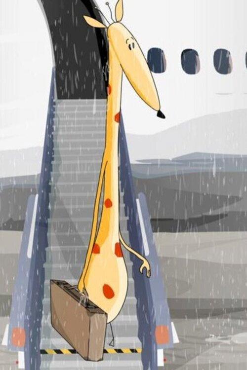 Une girafe sous la pluie 2007 official movie poster