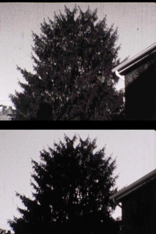 43 street Treelapse 2009 official movie poster
