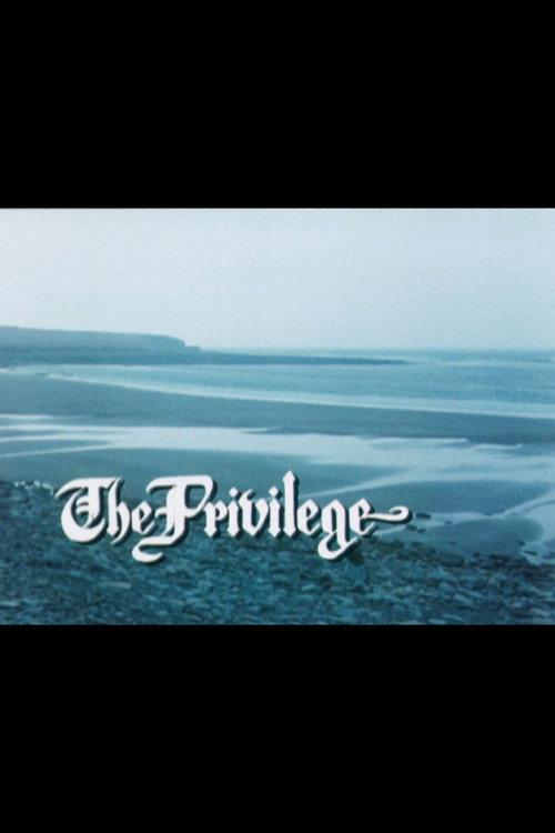 The Privilege 1982 official movie poster