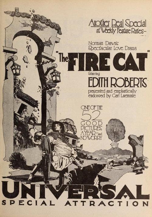 The Fire Cat 1921 official movie poster