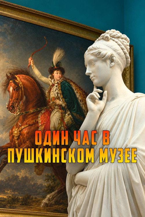 One Hour in the Pushkin Museum 2009 official movie poster