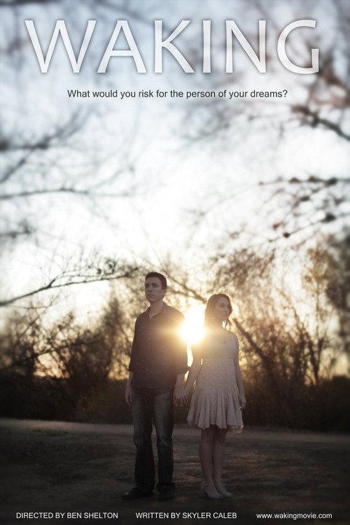 Waking 2013 official movie poster