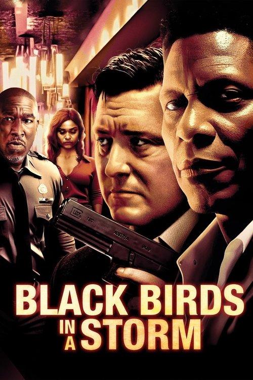 Black Birds in a Storm 2023 official movie poster