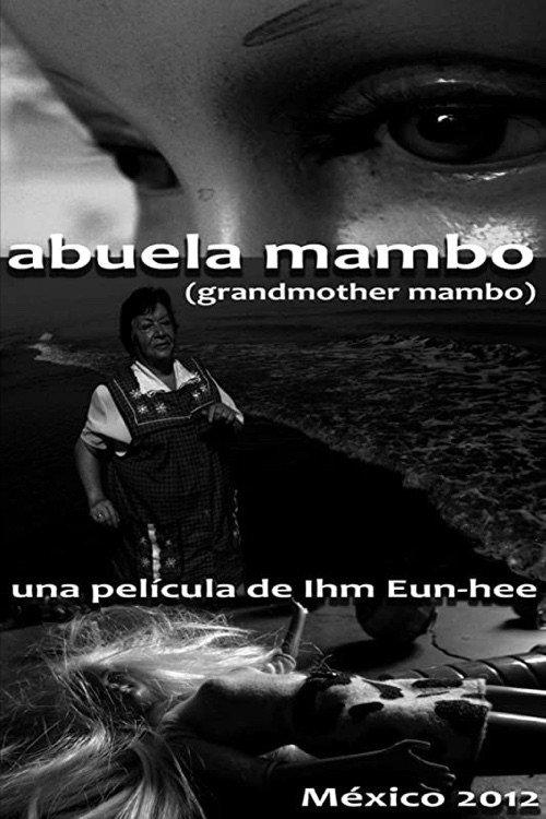 Abuela Mambo 2012 official movie poster