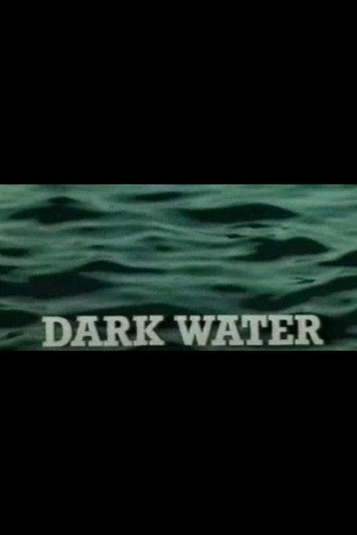 Dark Water 1980 official movie poster