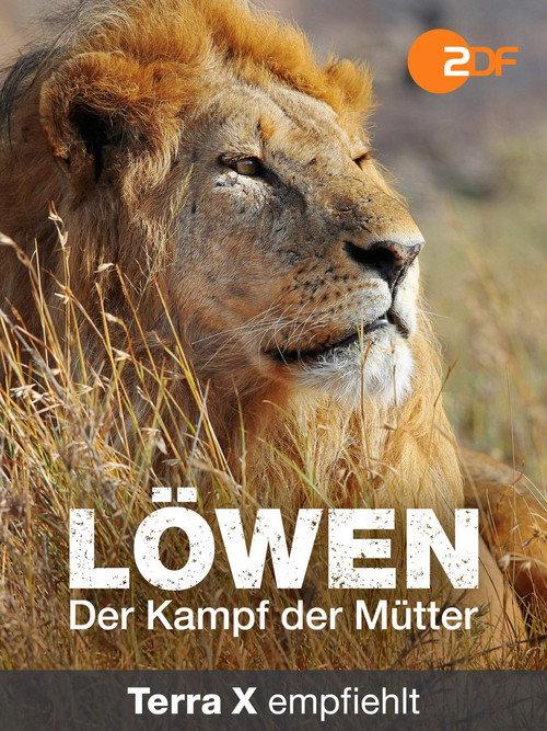 Lions - Mothers' Fight for Survival 2016 official movie poster