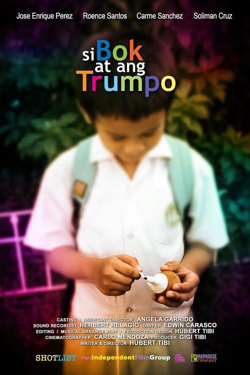 The Boy and His Top 2009 official movie poster