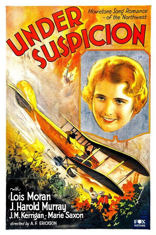 Under Suspicion 1930 official movie poster