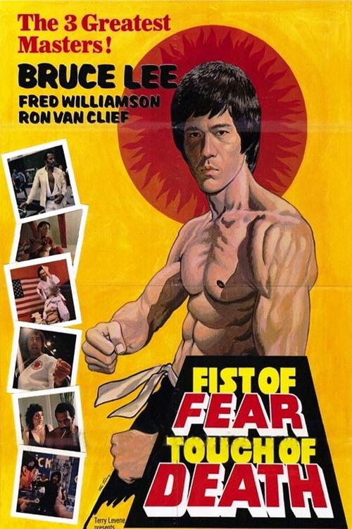 Fist of Fear, Touch of Death 1980 official movie poster