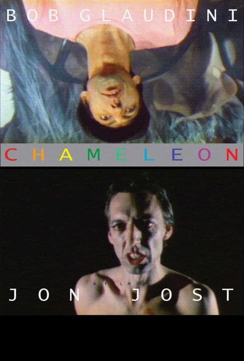 Chameleon 1978 official movie poster
