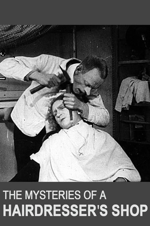 The Mysteries of a Hairdresser's Shop 1923 official movie poster