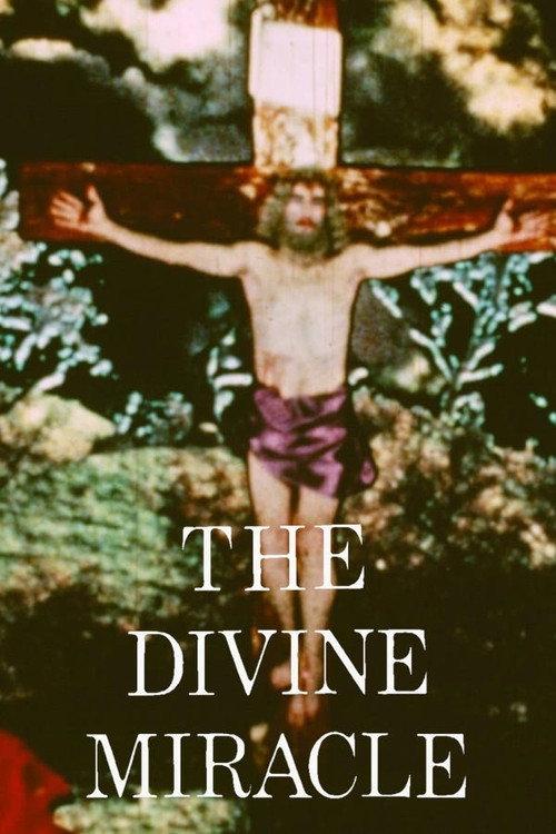 The Divine Miracle 1973 official movie poster