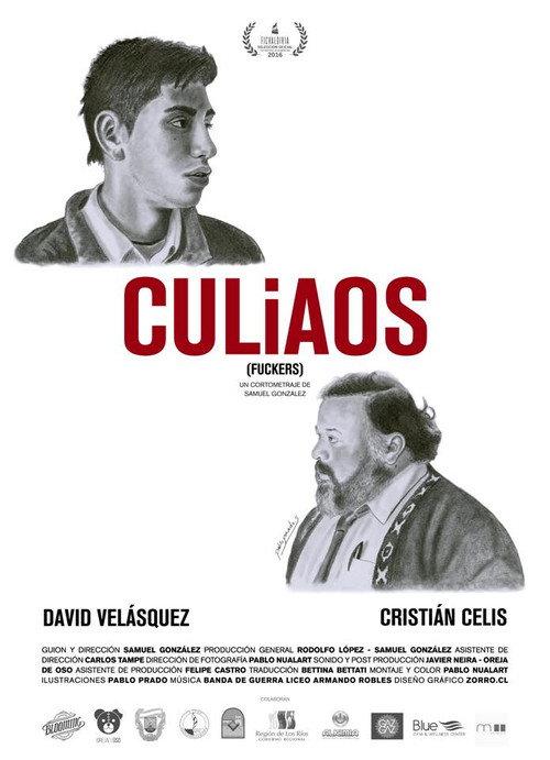Culiaos 2016 official movie poster