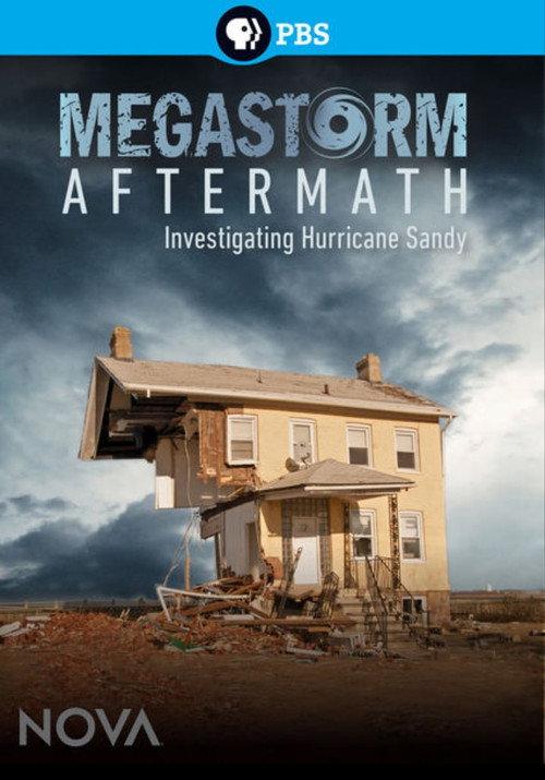 Megastorm Aftermath 2013 official movie poster