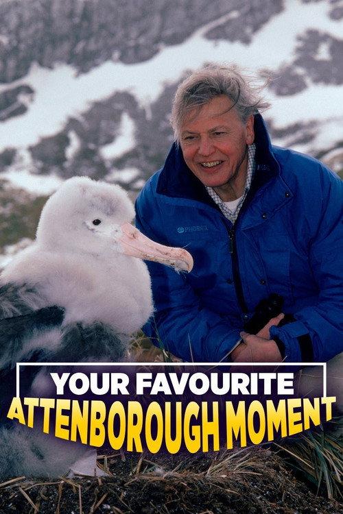 Your Favourite Attenborough Moment 2006 official movie poster
