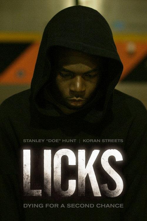 Licks 2013 official movie poster