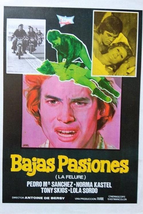 Bajas pasiones 1974 official movie poster