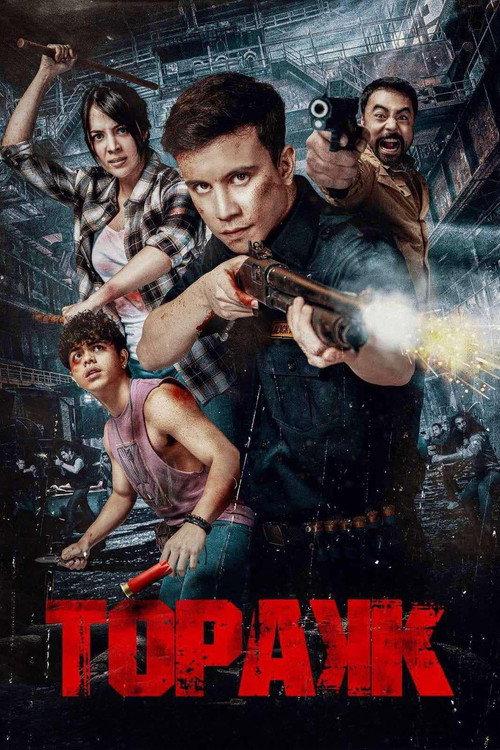 Triggered 2024 official movie poster