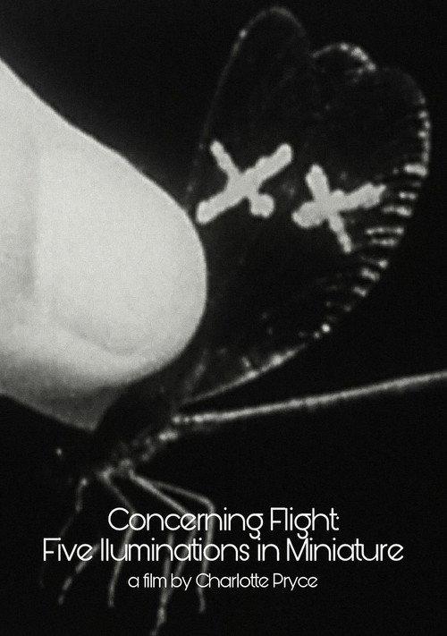 Concerning Flight: Five Illuminations In Miniature 2004 official movie poster