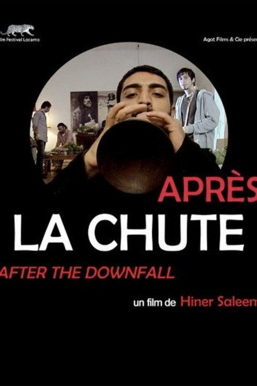 After the Downfall 2009 official movie poster